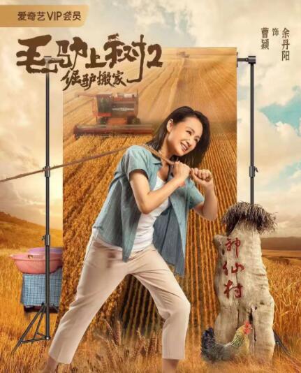 亚洲成在线观看