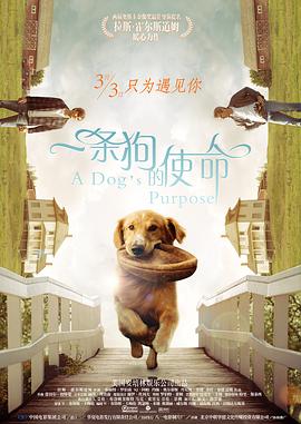 亚洲精品视频二区