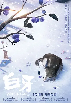 by23777·coon域名查询