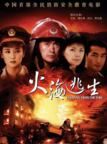 不是你的2020