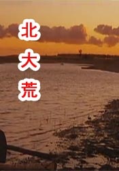 欧美自拍在线