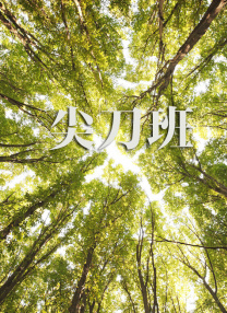 亚洲精品女av网站