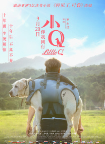 午夜视频1000部免费看
